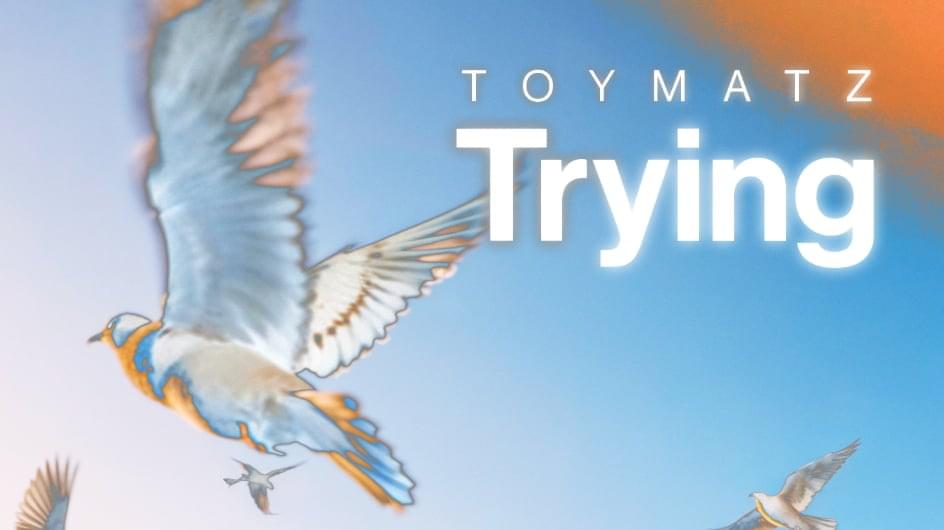 Trying